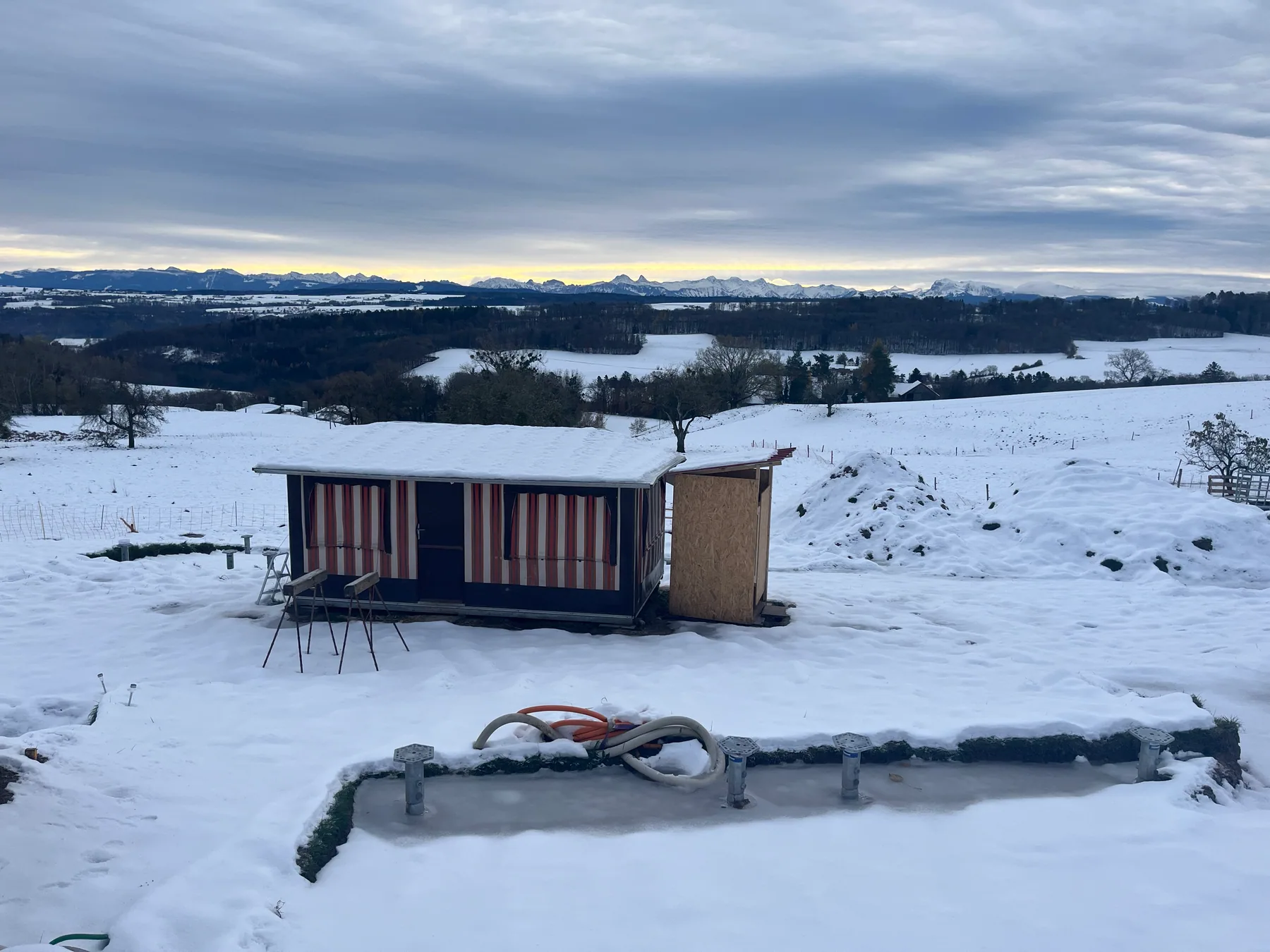 Article 11 : Sous la neige