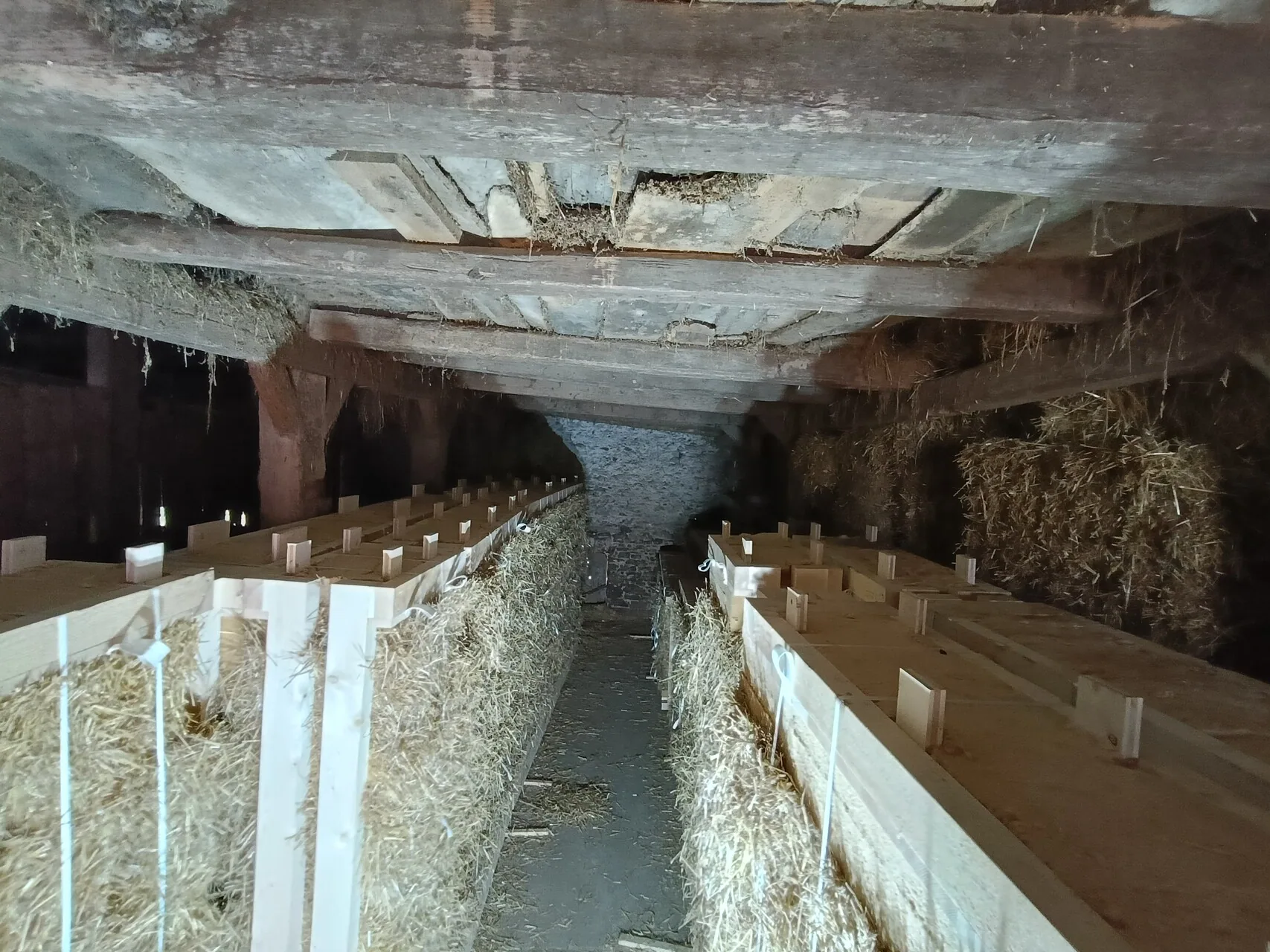 Article 12 : Les murs en paille porteuse sont faits